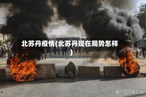 北苏丹疫情(北苏丹现在局势怎样)