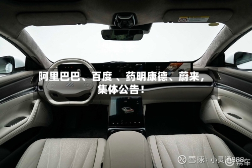阿里巴巴、百度 、药明康德	、蔚来	，集体公告！-第2张图片