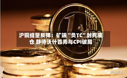 沪铜缩量反弹：矿端“负TC	”封死底仓 静待沃什首秀与CPI破局-第2张图片