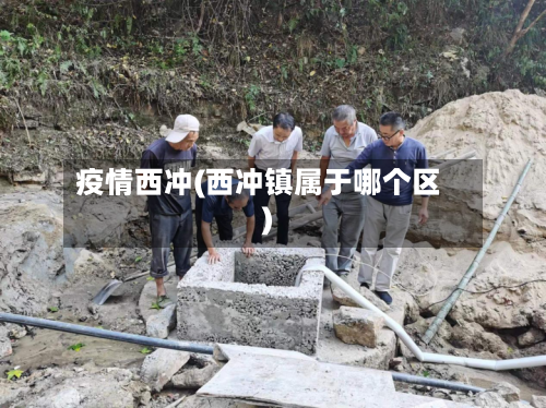 疫情西冲(西冲镇属于哪个区)