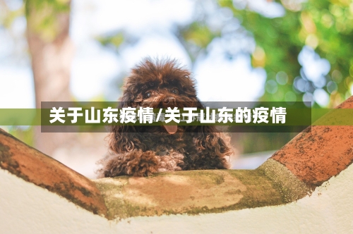 关于山东疫情/关于山东的疫情-第2张图片