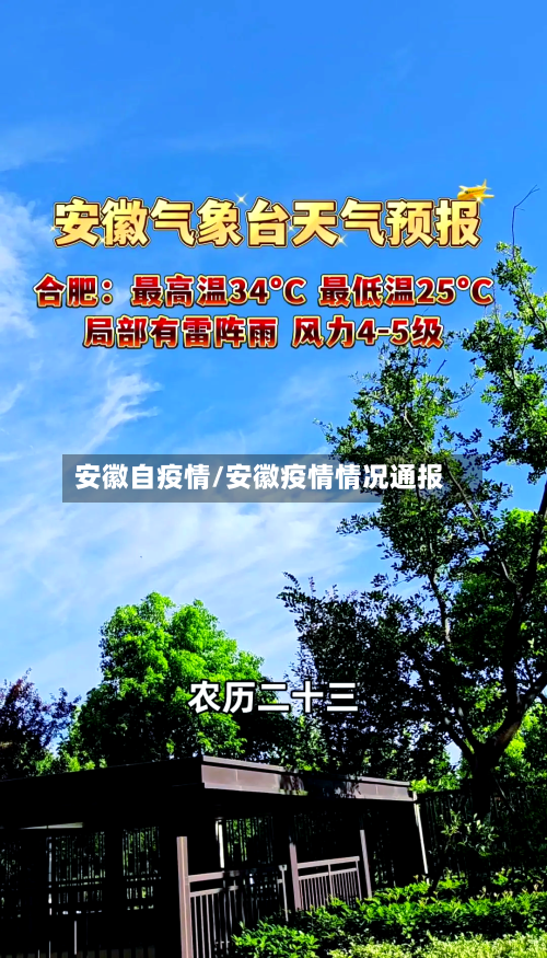 安徽自疫情/安徽疫情情况通报-第2张图片