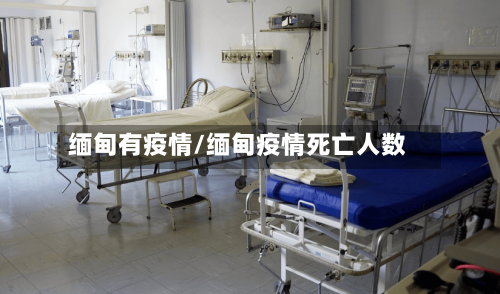 缅甸有疫情/缅甸疫情死亡人数