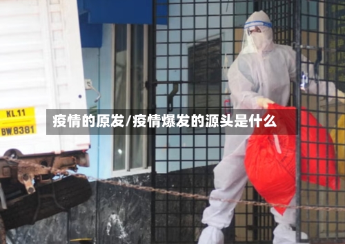 疫情的原发/疫情爆发的源头是什么